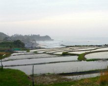 米屋のこだわり