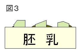 協会が想定する米研ぎの仕上がり